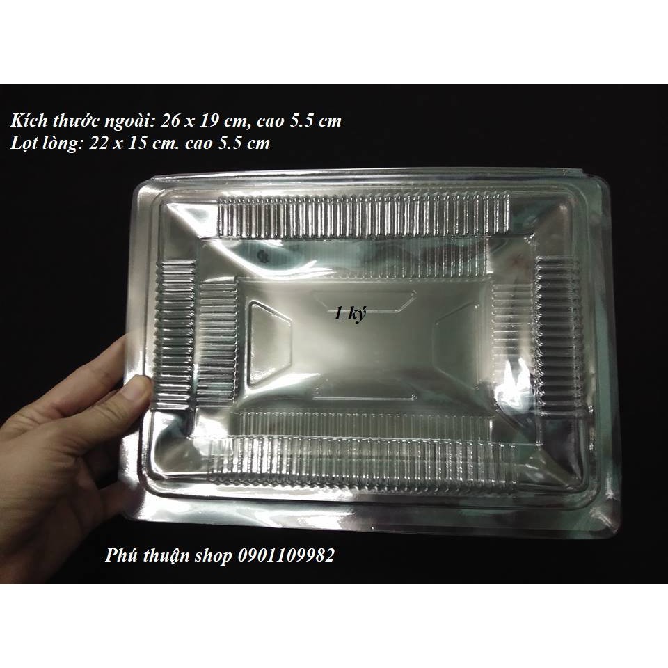 COMBO 100 NHỰA CHỮ NHẬT  ĐỰNG THỰC PHẨM 1 KÝ  KÍCH THƯỚC 22 X 15 X 5.5 CM