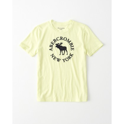 Áo thun nam Abercrombie Fitch