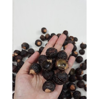 Quả bồ hòn