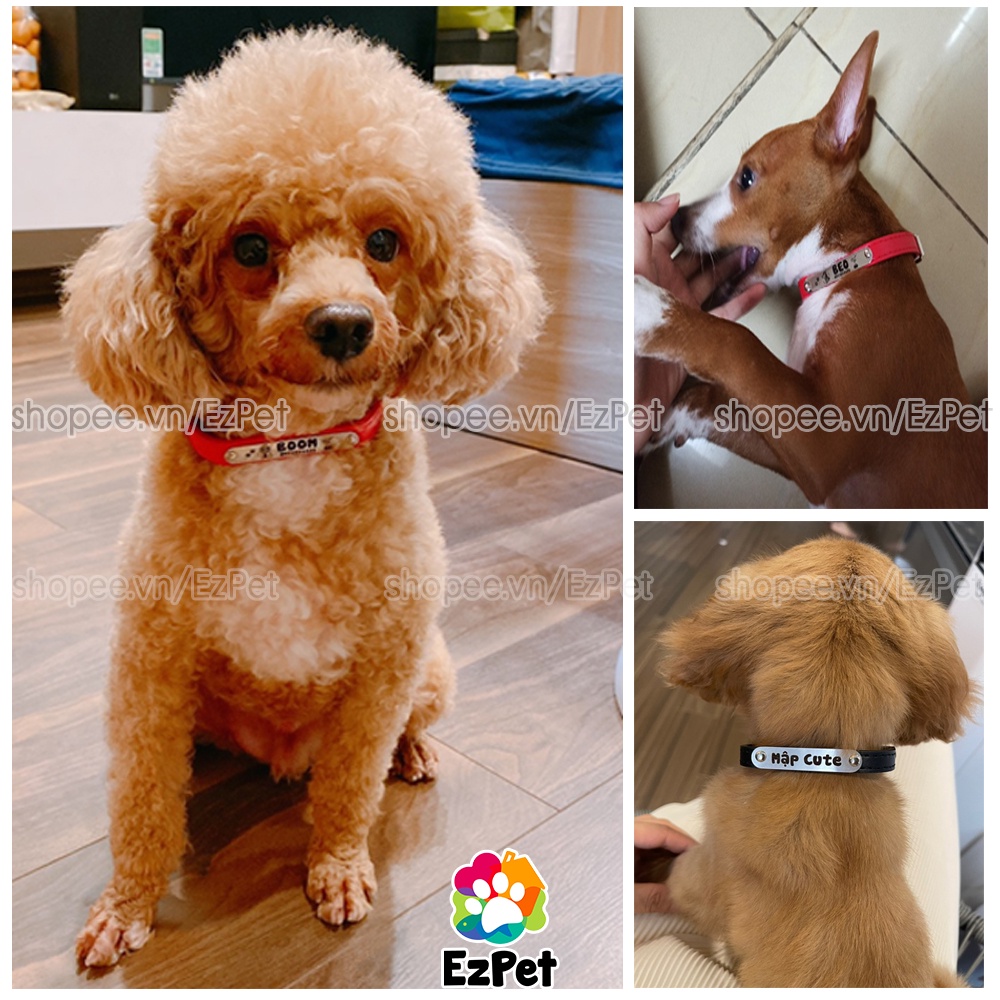 Vòng cổ cho chó mèo (khắc tên) EzPet - chất liệu da PU