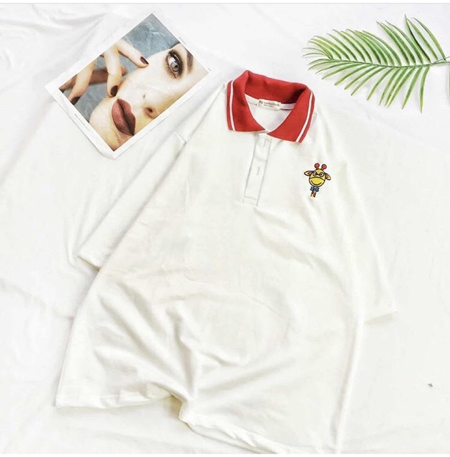 Polo ( nhiều mẫu trong album) | BigBuy360 - bigbuy360.vn