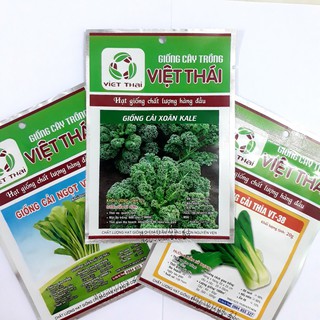 Combo hạt giống_3 loại rau cải (cải ngọt+cải thìa+cải kale)