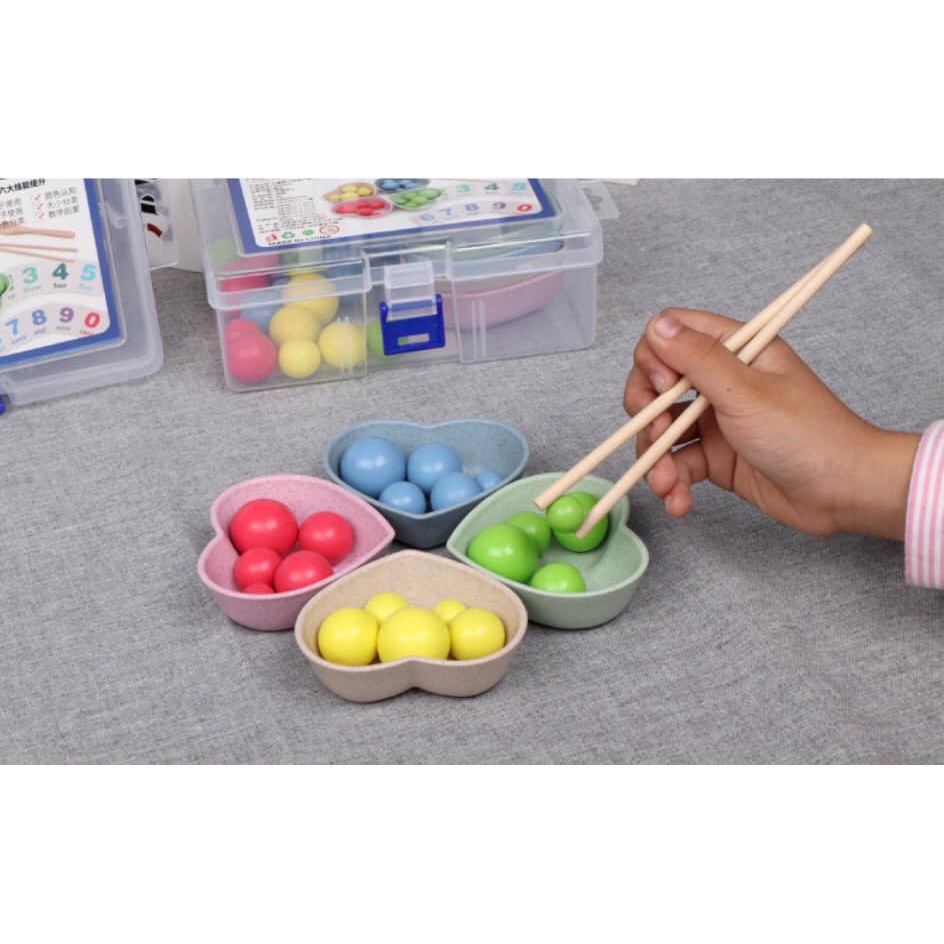 Bộ giáo cụ Montessori thực hành tập gắp bi gỗ cho bé