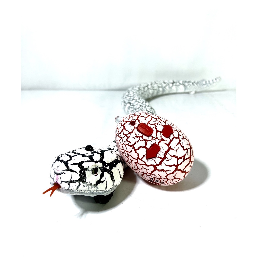 Rắn Điều Khiển Từ Xa