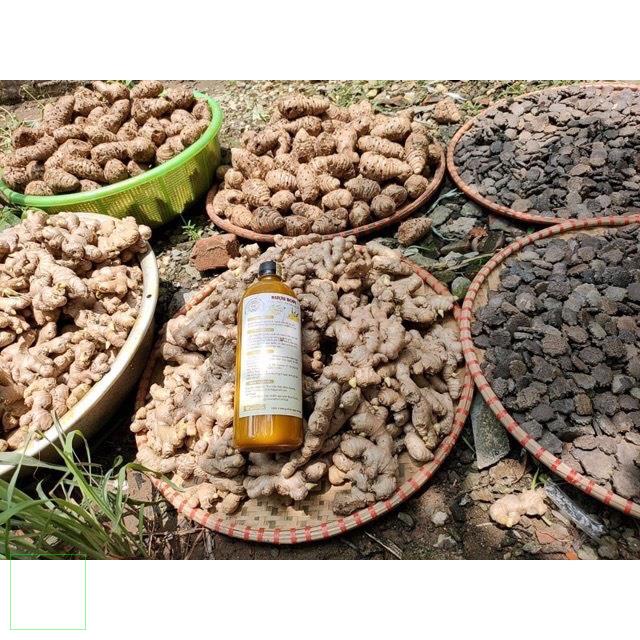 Cốt Rượu Gừng Nghệ Hạt gấc Hạ Thổ 9 tháng 10 ngày tốt cho phụ nữ 1 lít