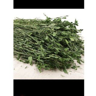 Cỏ  Alfalfa 🐭FREESHIP🐭1KG Cỏ  Alfalfa Nguyên Cây Thức Ăn Cho Thỏ, Bọ