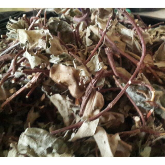 Ha Shou Wu - cây lá hà thủ ô SPICESUPPLY Việt Nam Hũ 30g