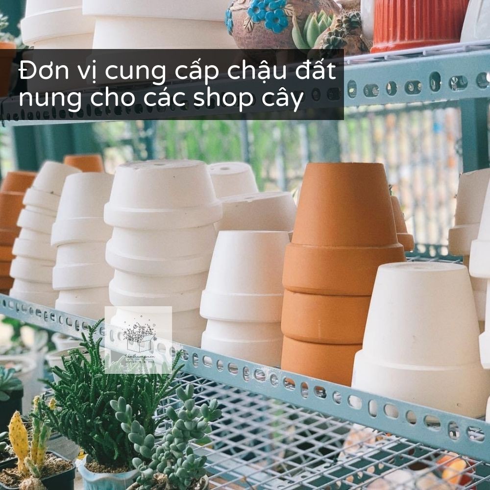 Chậu đất nung - Size 8x9cm - trồng sen đá, cây cảnh, cây xương rồng, cây cẩm nhung - Tiệm Thường Xuân