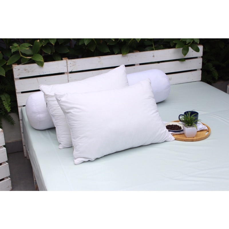 Ruột gối ôm gòn Ball Edena 80x100cm - Chính Hãng , Mềm Mại