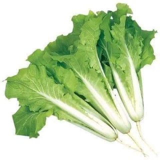 1 lạng hạt giống cải bẹ dúm