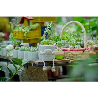 Chậu xi măng hình thú có chân