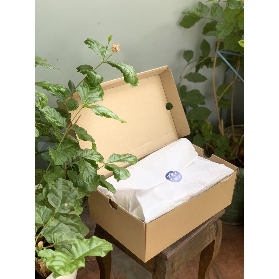 Hộp carton đựng giày dép