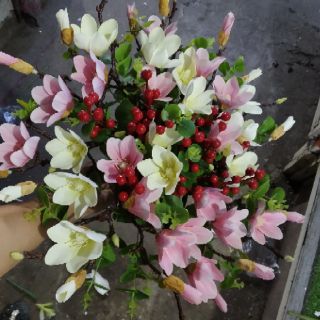 Hoa Mộc Lan Cao Su cao cấp-Hoa giả