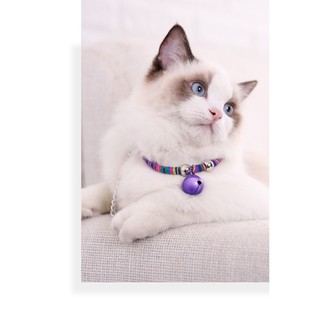 VÒNG CỔ CHARM DÀNH CHO CHÓ MÈO