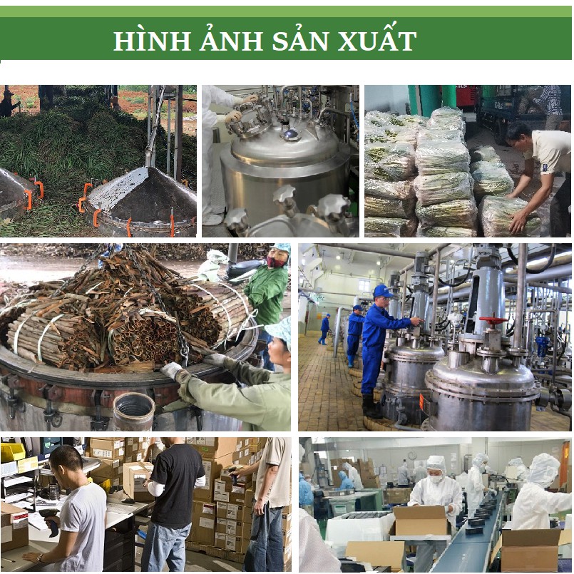 Tinh dầu gỗ Tuyết Tùng (gỗ Hoàng Đàn) nguyên chất Organic từ thiên nhiên - KingOil