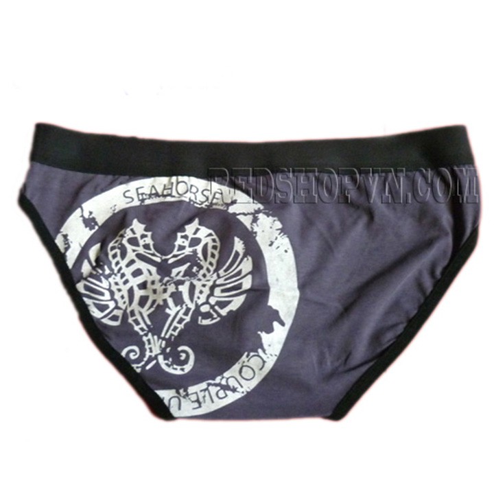 Quần lót bikini in hình phía sau.