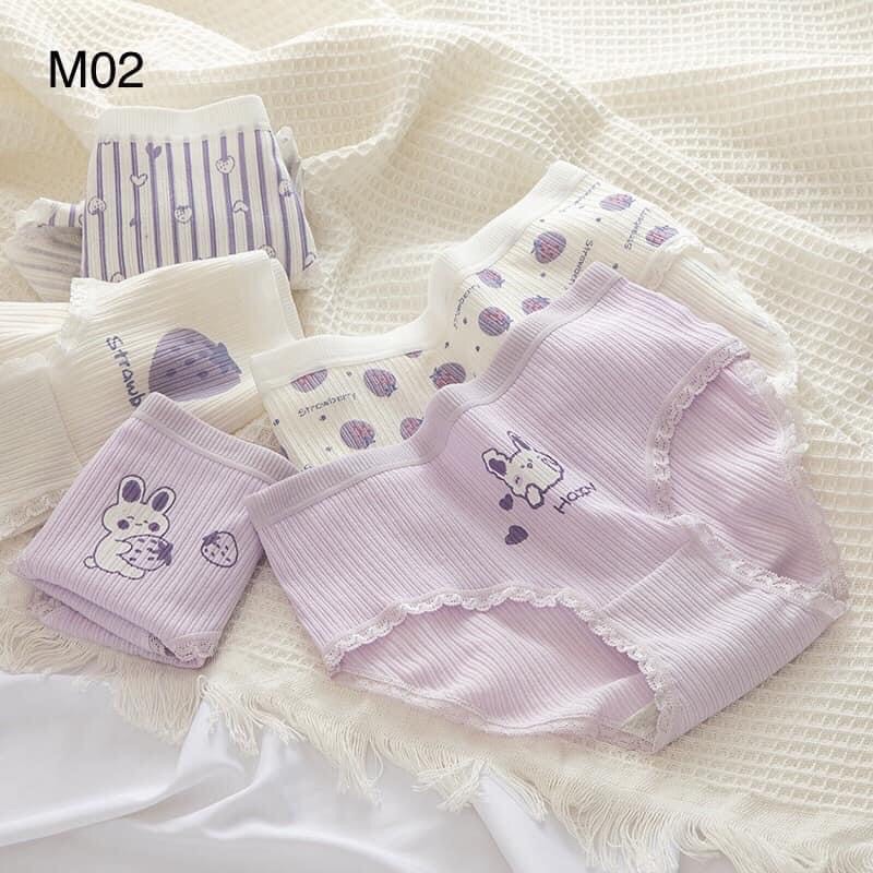Set 5 Quần Lót - Quần Chíp kháng khuẩn Loại 1 Nhiều Mẫu