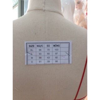 Manocanh thiết kế VN ( chân y hình)