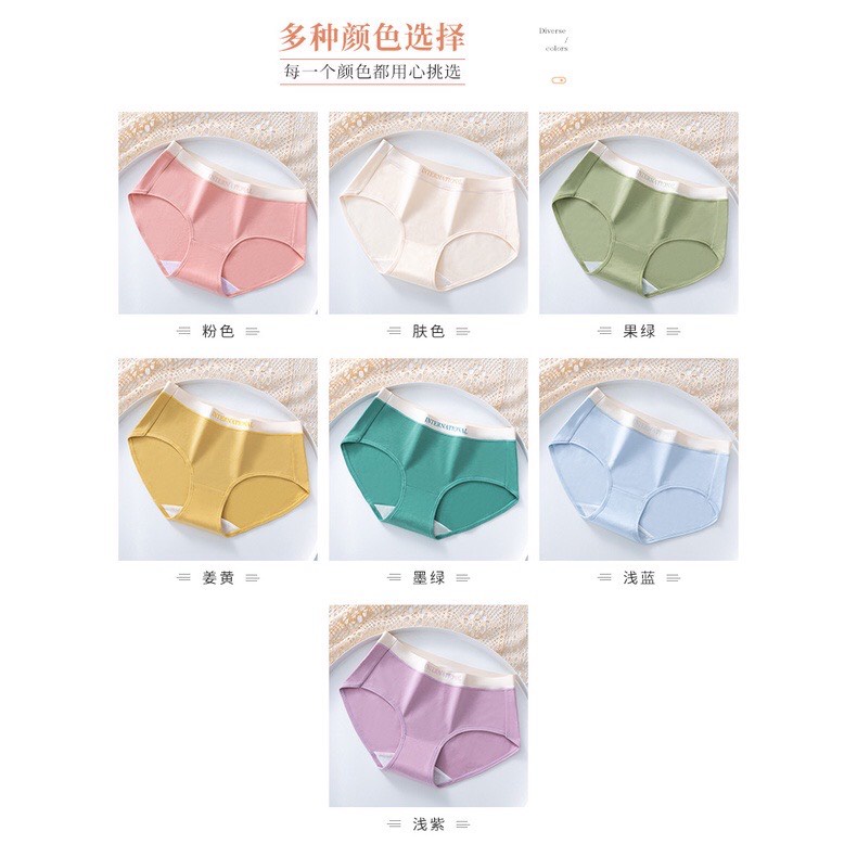 Quần Lót Nữ Cotton Cạp Su Chữ Kháng Khuẩn Cao Cấp 8858