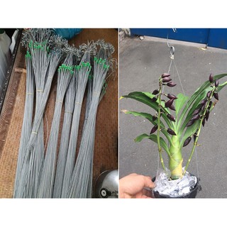 30 Móc Treo Chậu Bằng Kẽm 80CM