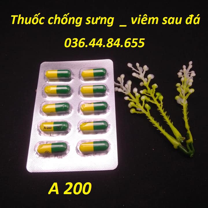 [TTT123] [ HỖ TRỢ PHÍ VẬN CHUYỂN ] COMBO THUỐC TĂNG CƠ BẮP VÀ THUỐC CHỐNG VIÊM  CHO GÀ - TẶNG BAO MỎ DA