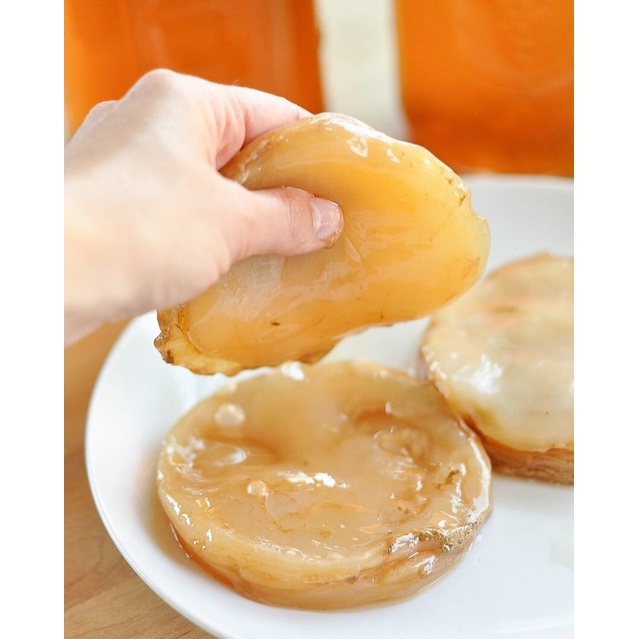 SCOBY kèm 100ml nước mồi Con giống làm trà Kombucha