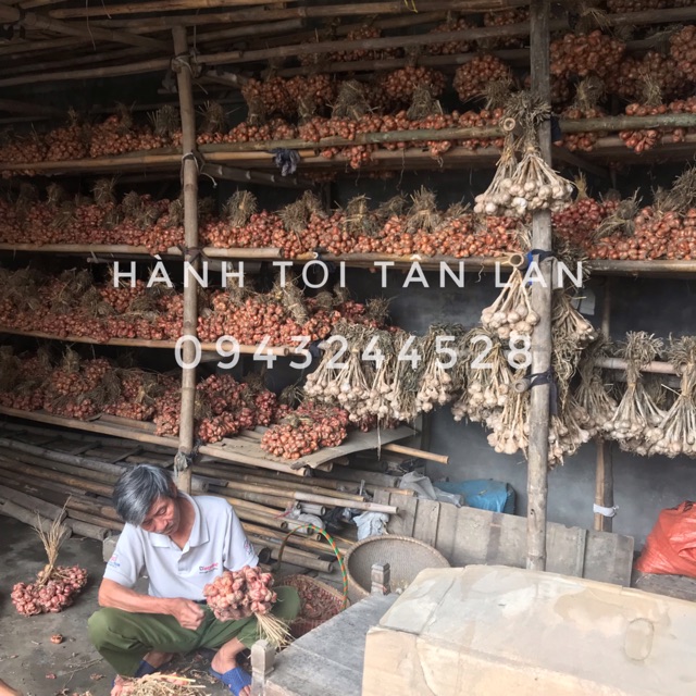 [Có sẵn] Hành khô - Tỏi khô - Kinh Môn Hải Dương | BigBuy360 - bigbuy360.vn