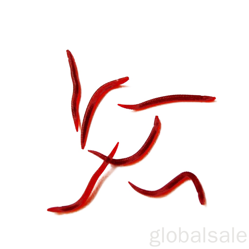 Set 50 mồi câu cá giả côn trùng mềm sinh động