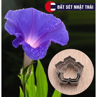 KHUÔN CẮT HOA THIÊN ĐƯỜNG HỌC LÀM HOA ĐẤT SÉT, HOA ĐƯỜNG, XÔI HOA ĐẬU, RAU CÂU
