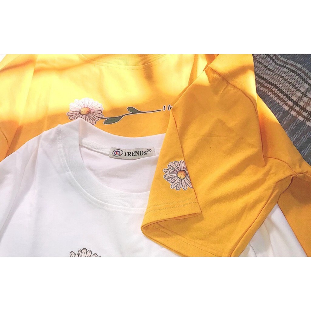 Ao Phông Giá Rẻ Đẹp 🍁FREESHIP🍁  Giảm 5k khi nhập{ AOTHUN05} – Áo Thun Giá Rẻ Đẹp | BigBuy360 - bigbuy360.vn