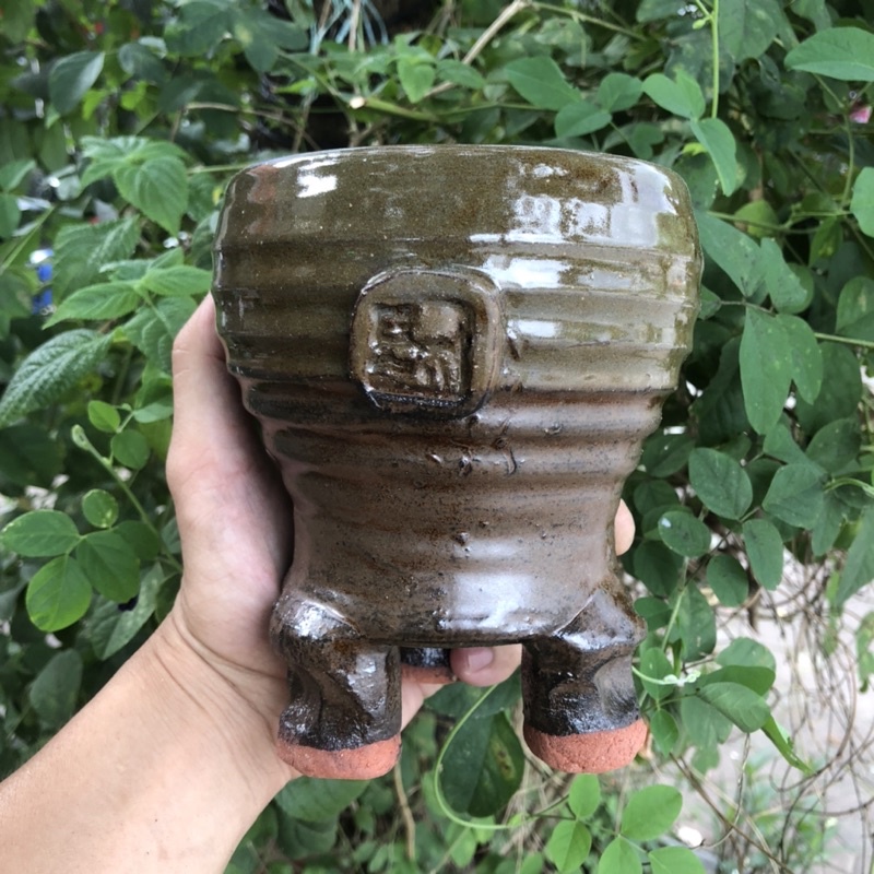 Chậu xuất Hàn trồng sen đá