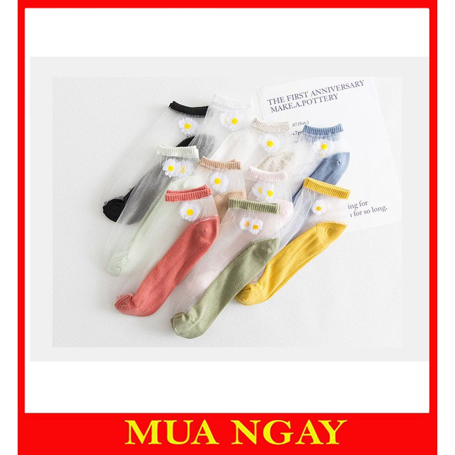 Tất nữ ren lưới hoa cúc TN26