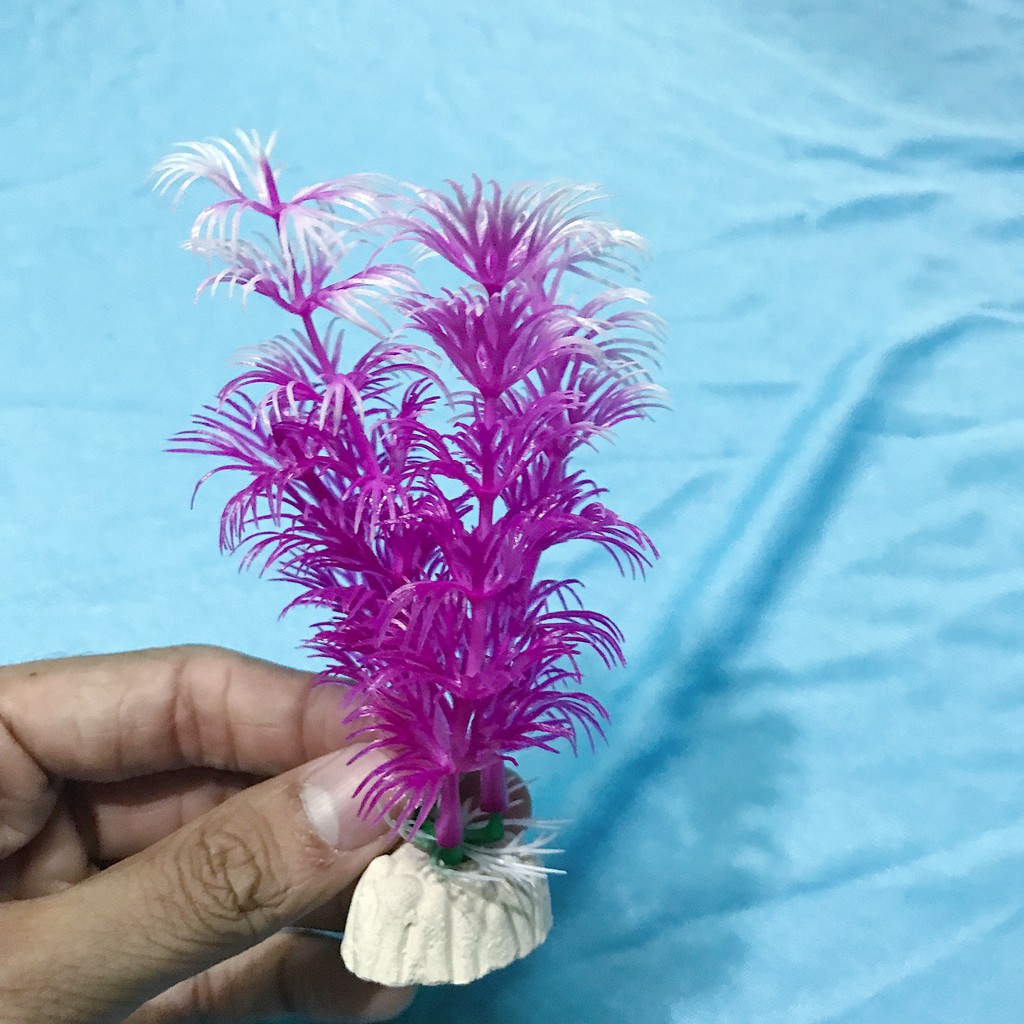 COMBO 10 RONG TRANG TRÍ HỒ CÁ NON BỘ SIZE 13CM