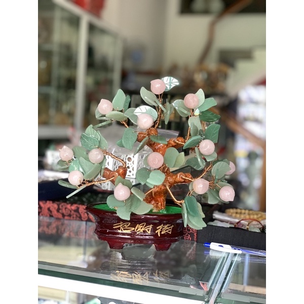 Cây đào thach_anh hồng 25cm