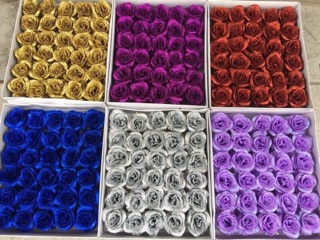 Hoa sáp kim tuyến lấp lánh