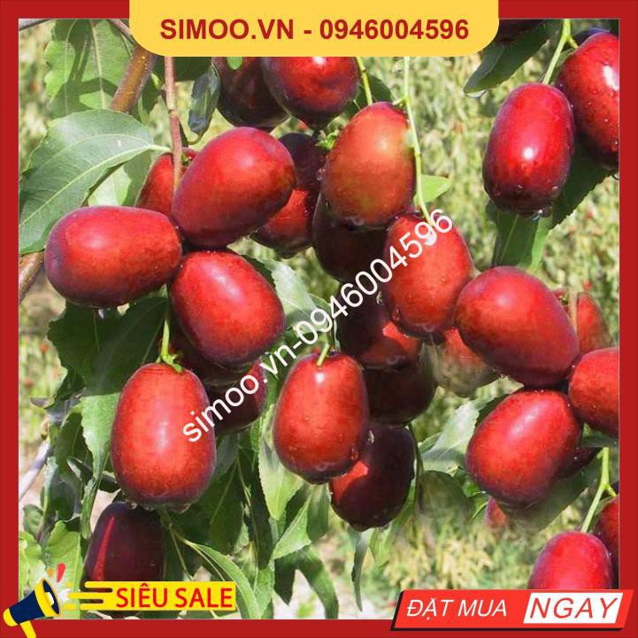 💥 ⚡ SẢN PHẨM CHÍNH HÃNG 💥 ⚡ 1 KG TÁO ĐỎ LOẠI 1 SẤY KHÔ HÀN QUỐC 💥 ⚡