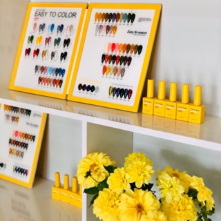 SƠN GEL ORCHEE LẺ CHỌN MÀU