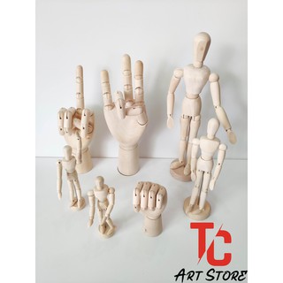 Mô hình người gỗ - bàn tay gỗ mỹ thuật Kuelox