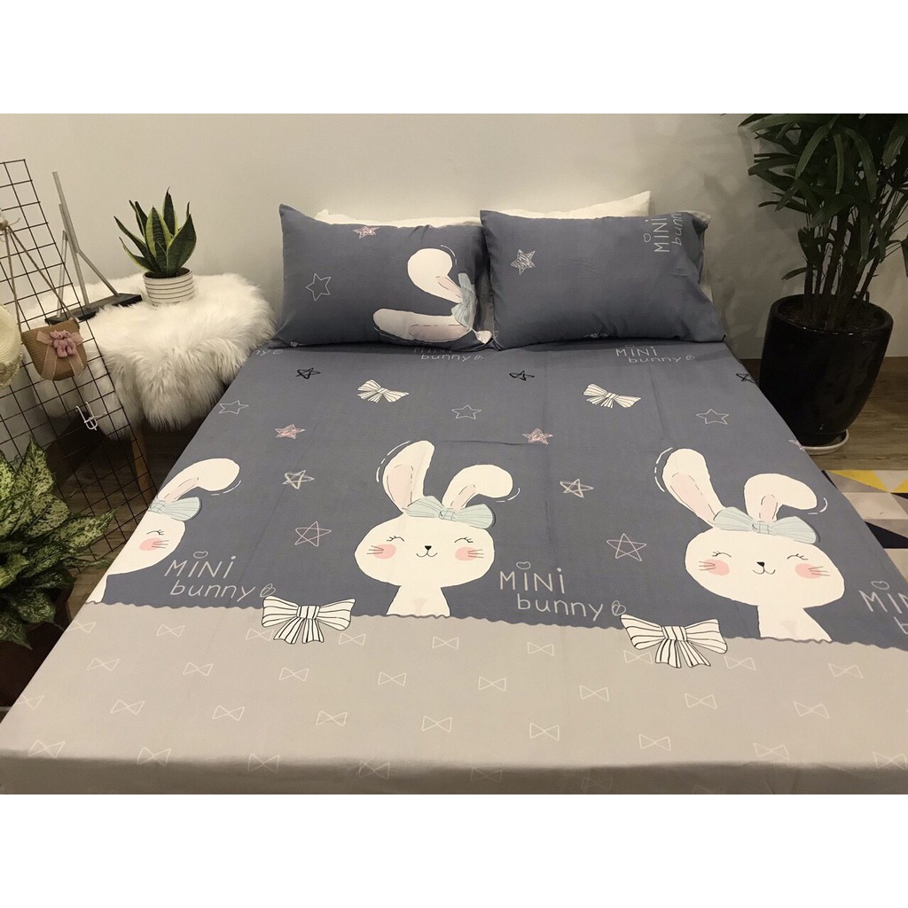 Bộ_chăn_ga_gối_cotton_Demi_100%_cotton