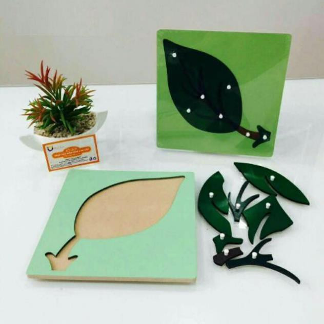 Tranh ghép sinh học - Giáo cụ Montessori