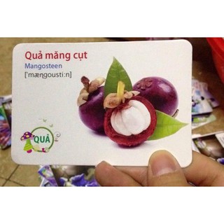 BỘ FLASH CARD 16 chủ đề cho bé