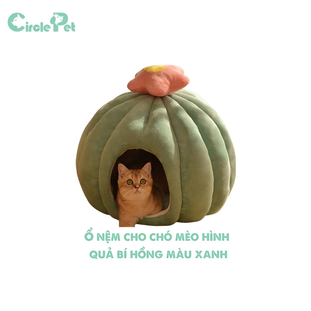Đệm Nằm Cho Thú Cưng Hình Quả Bí Gắn Hoa Xinh Xắn Chất Vải Êm Ái 2 Màu Size M 50cm - Circle Pet