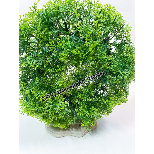 RONG GIẢ NHÂN TẠO VÒNG TRÒN TRANG TRÍ BỂ CÁ NON BỘ CAO 15CM