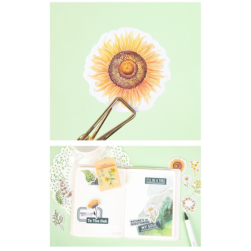Bộ sticker/ Hình dán Kiểu Hoa Hướng Dương (46 Hình)