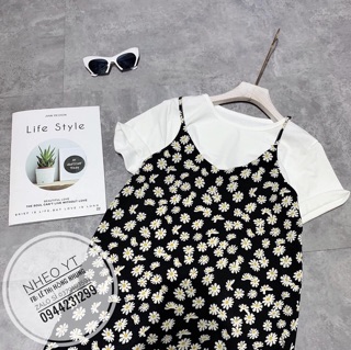 Set yến hoa cúc