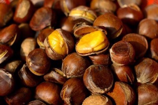 Hạt dẻ Quảng Tây