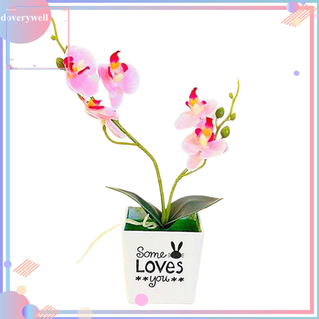 1 Bộ Chậu Cây Hoa Lan Giả Chống Mòn Dùng Trang Trí