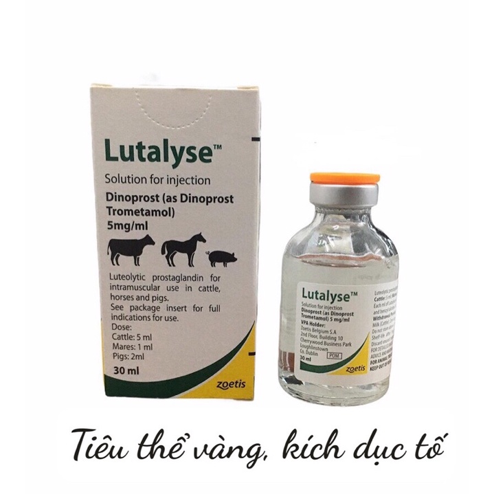 1 lọ LUTALYSE DÙNG CHO TRÂU BÒ LỢN