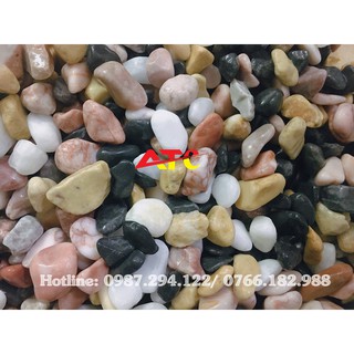 Đá sỏi màu trang trí (túi 2kg)