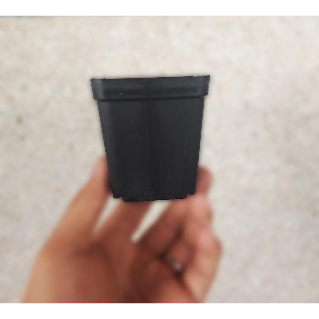 Châu Vuông Nhựa Đen Trồng Cây Sen Đá Cây Bắt Mồi Cây Ăn Thịt Nhiều Kích Thước 6.5 cm - 7cm - 15 cm